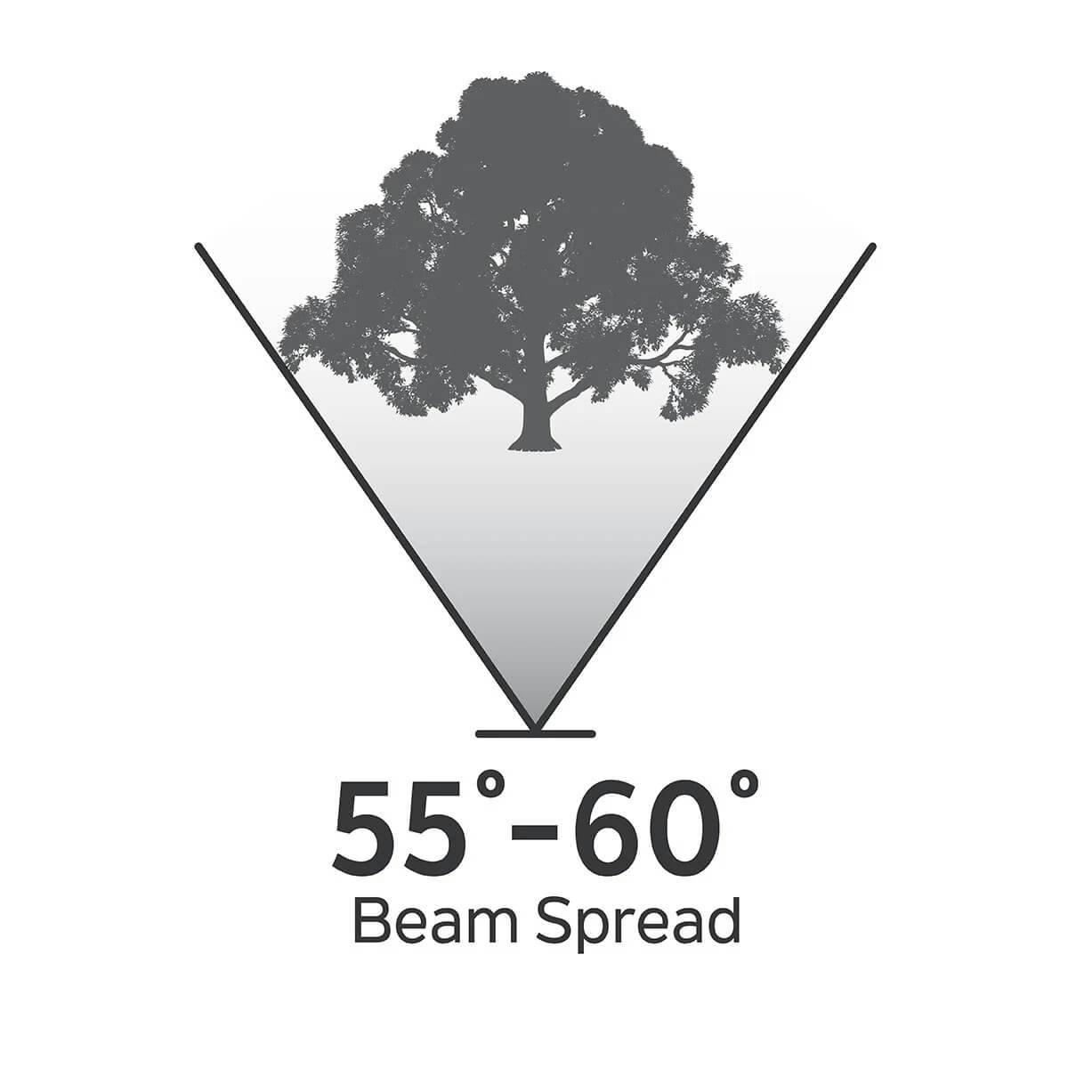 Illustration of a large tree with a 55 to 60 degree beam spread