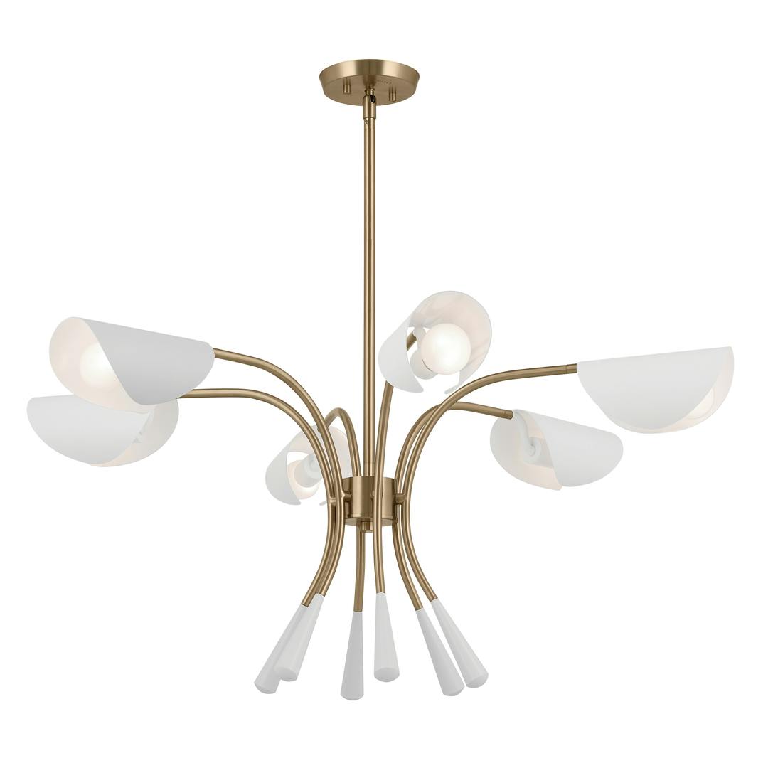 Arcus 39.25 Inch 6 Light Chandelier in Champagne Bronze with White on a white background