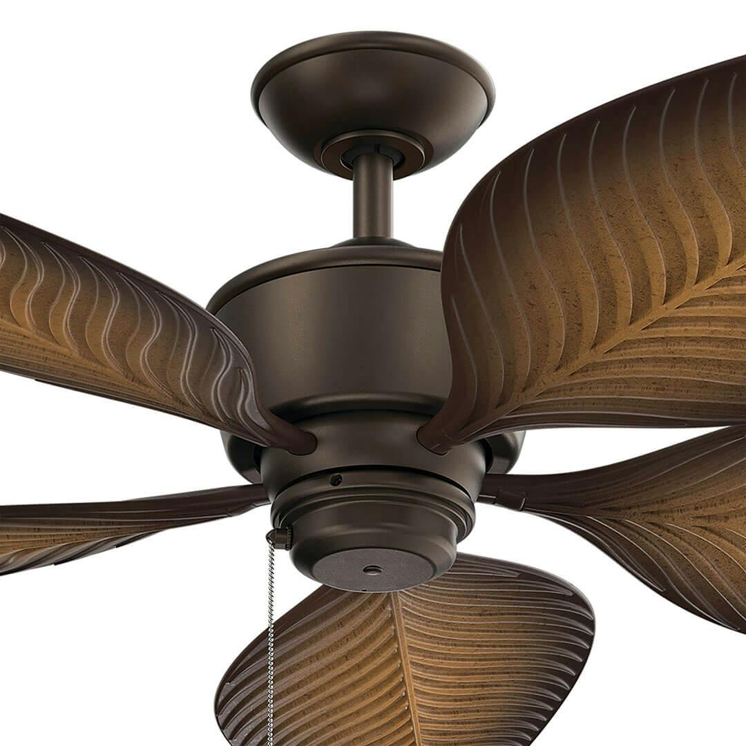 Close up of the 56" Nani 5 Blade Weather+ Outdoor Fan in Satin Natural Bronze with Walnut Blades on a white background