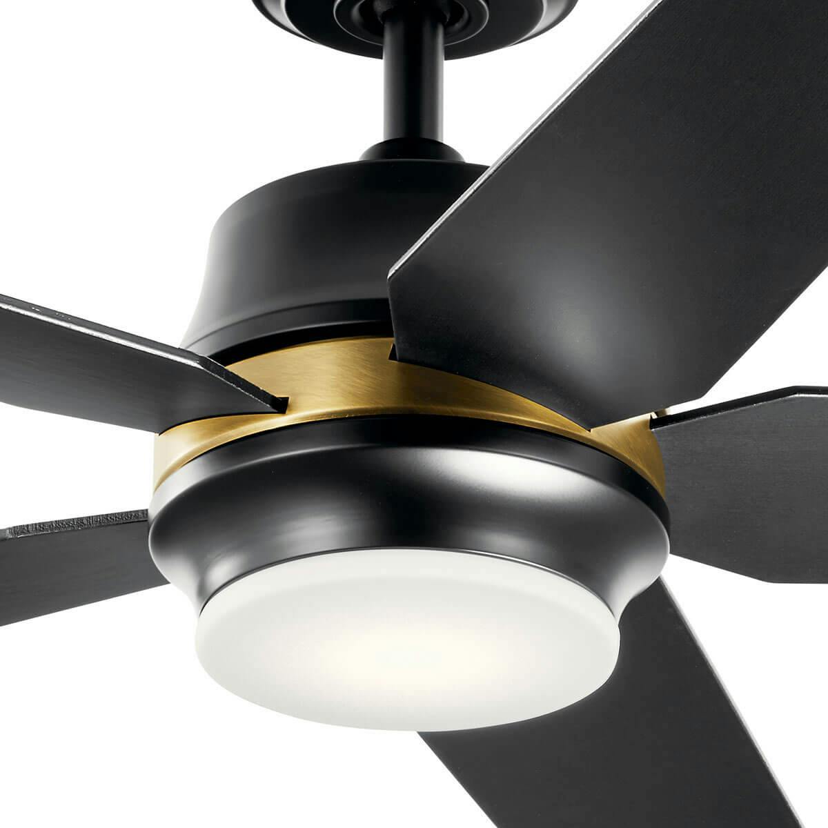 Close up view of the Maeve™ LED 52" Ceiling Fan Satin Black on a white background