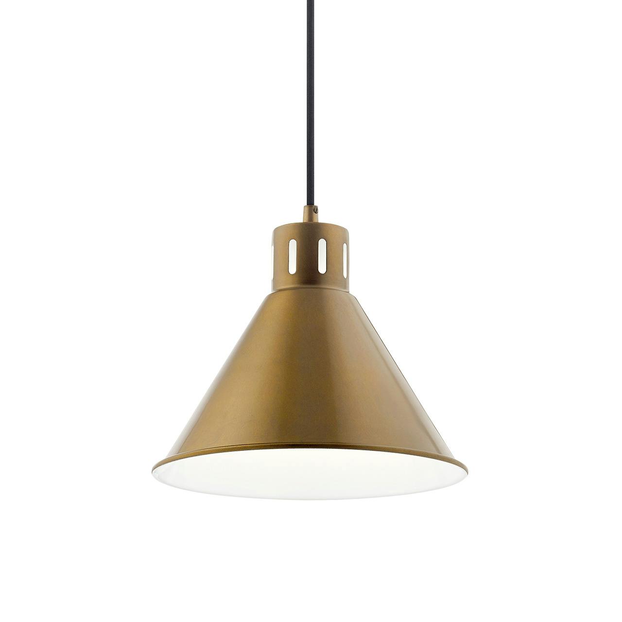 Zailey 9.5" 1 Light Pendant in Brass without the canopy on a white background