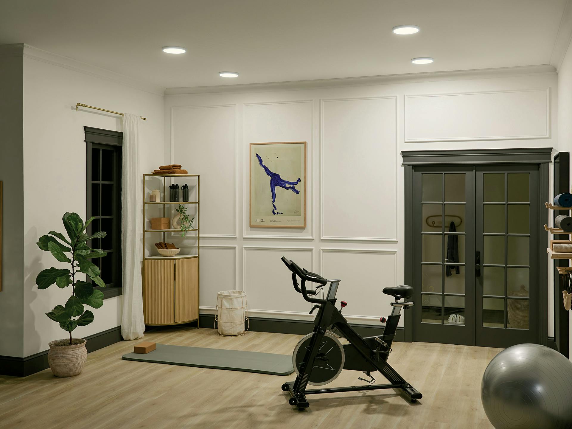 Ara downlights in a home gym