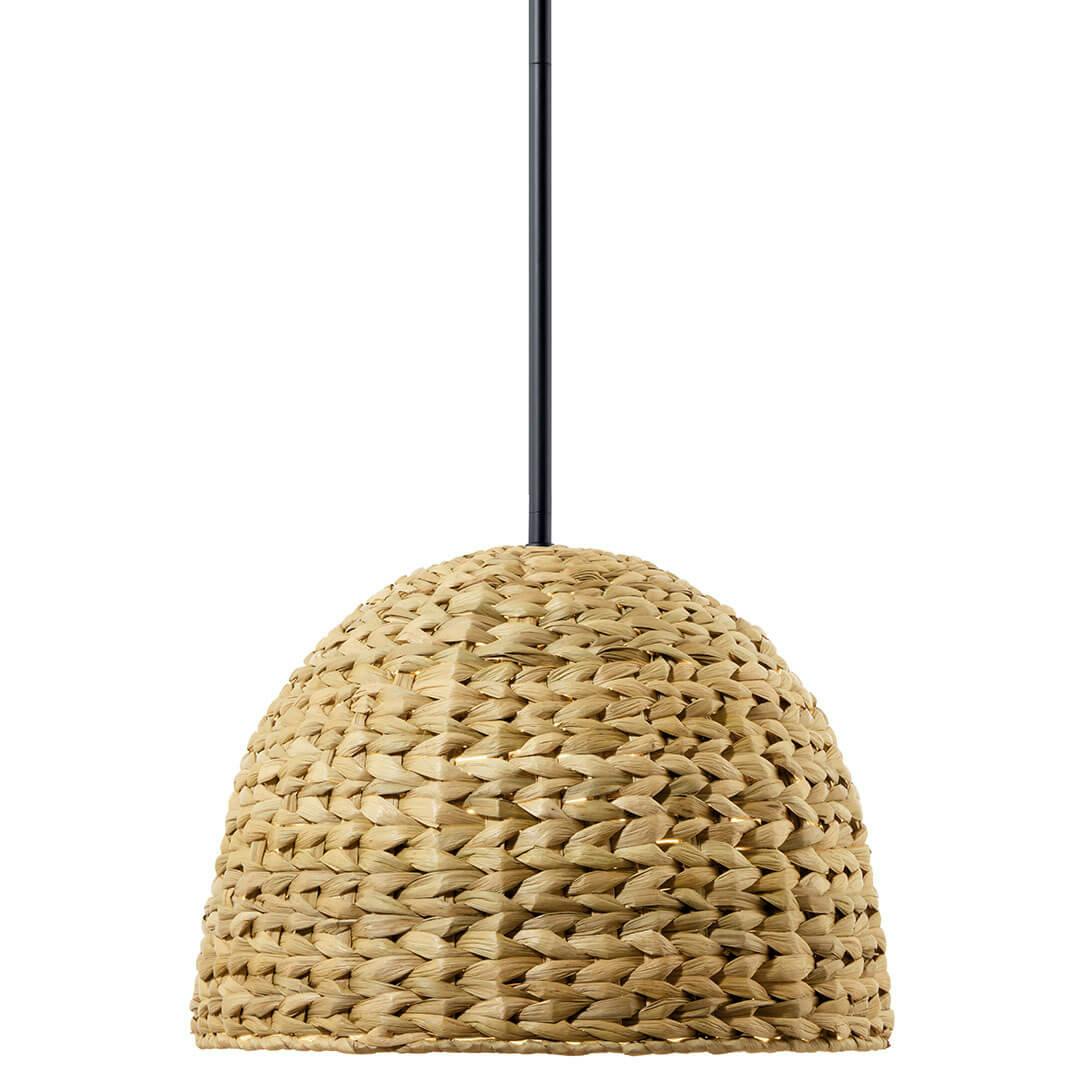 Front view of the Raffiana 14" 1-Light Pendant in Black on a white background