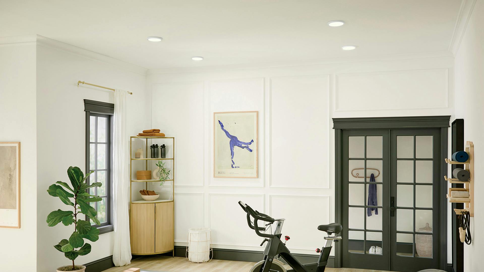 Home gym with Ara Downlights during the day